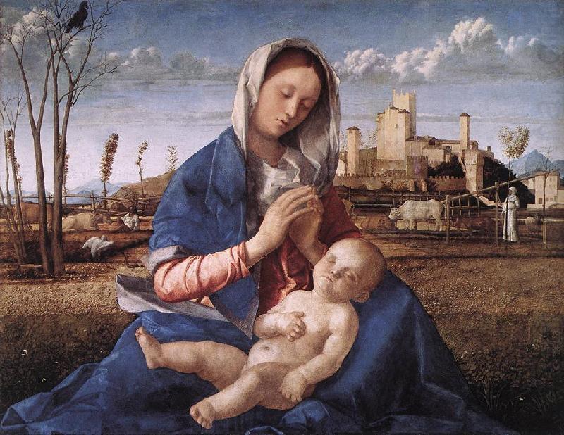 Madonna of the Meadow (Madonna del prato) gh, BELLINI, Giovanni